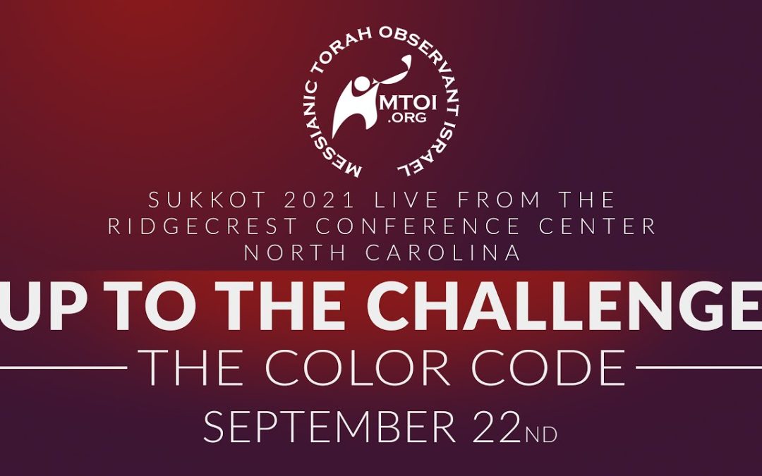 Up to the Challenge | The Color Code | Rabbi Steve Berkson | 9-22-2021 | Sukkot 2021