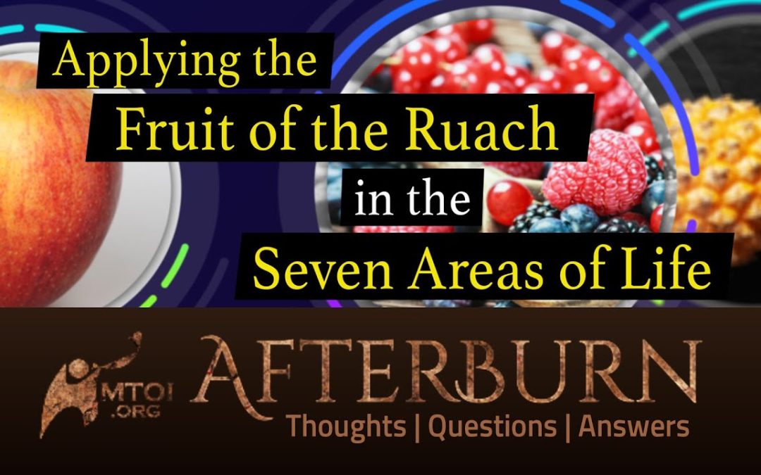 Afterburn | Applying the Fruit of the Ruach in the Seven Areas of Life